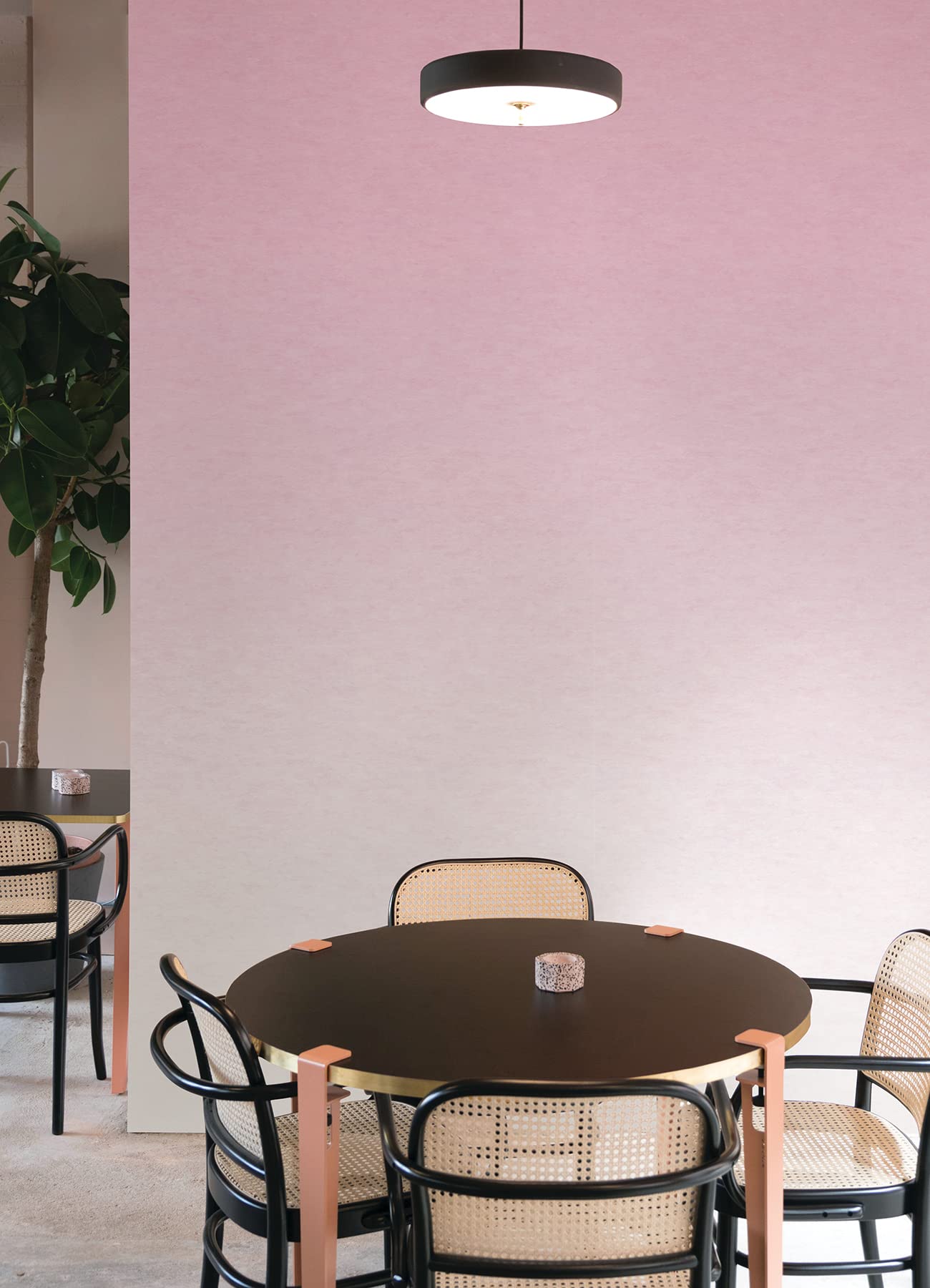 Papier peint Aura Rose RoomMates à coller revêtement mural adhésif repositionnable pour chambre