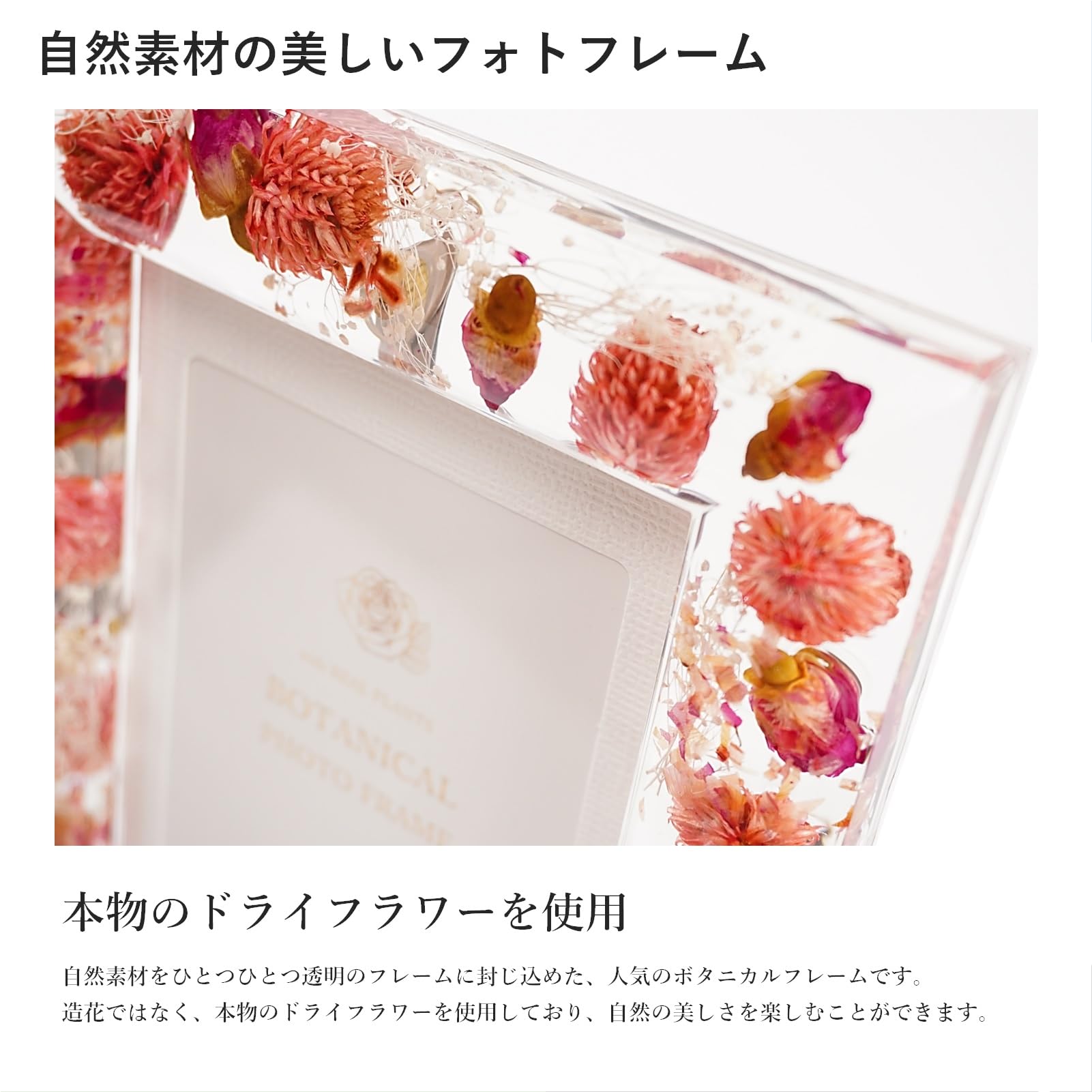 Amazon.co.jp: RingLeaf ボタニカルフレーム 美しいドライ