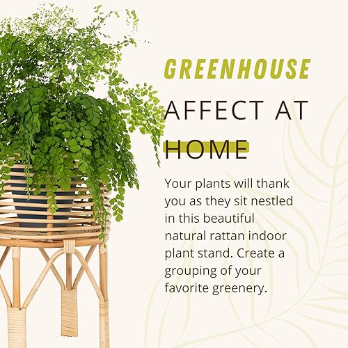 Miniatura 5 de KOUBOO Soporte para plantas de interior de ratán, pequeño, maceta natural marrón