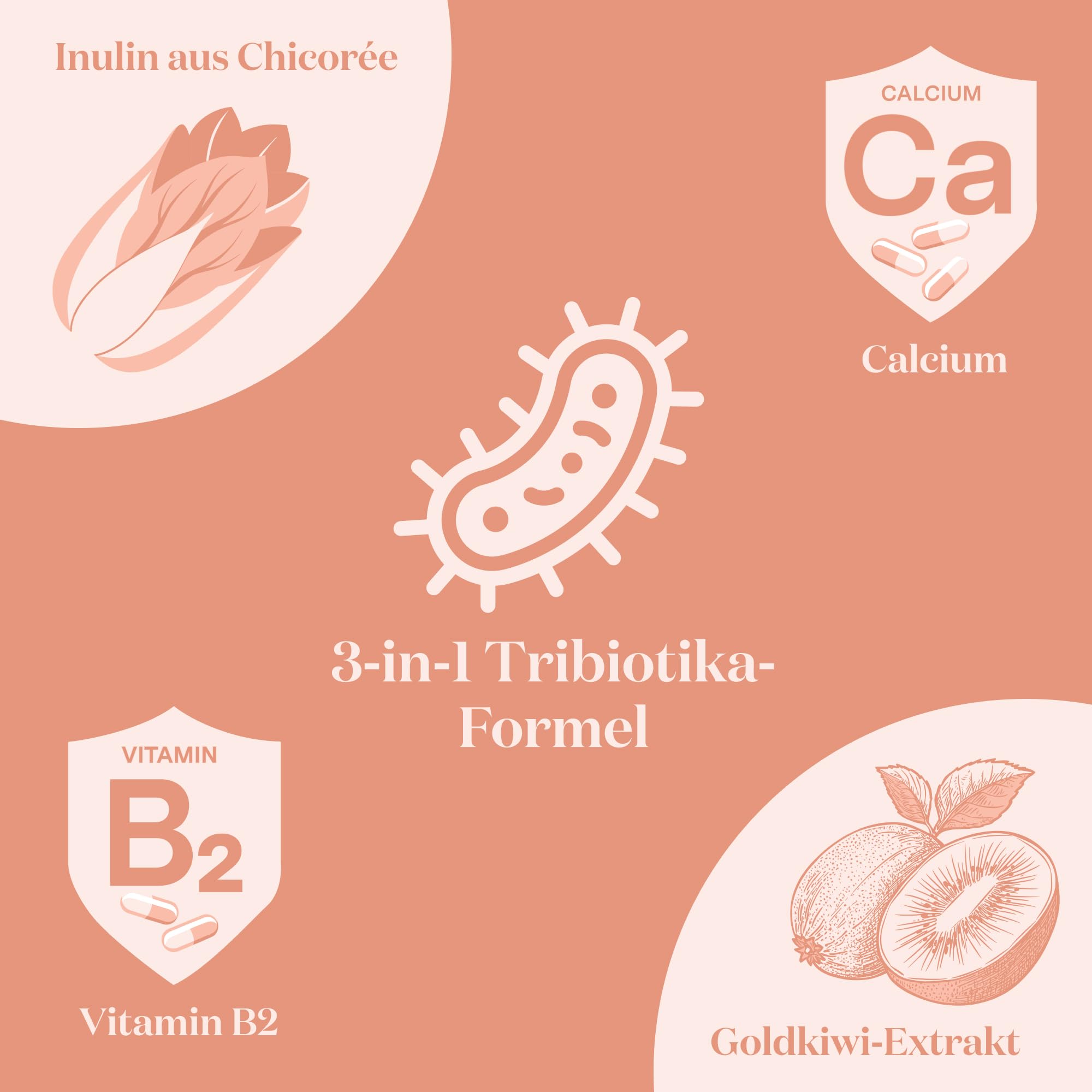 Glow25® Balance [30 Portionen] – mit Milchsäurebakterien, Kiwifruchtpulver, Inulin, Calcium und Vitamin B2 – leicht verdaulich – pflanzlich und vegan