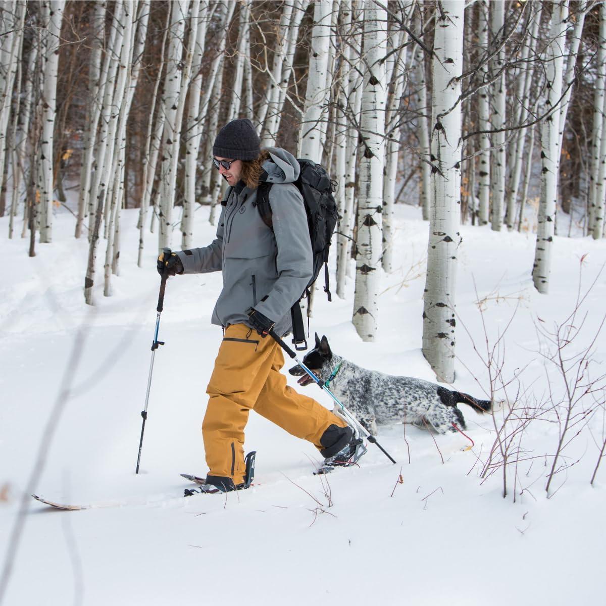 Wolfgang Heavy Duty Dog Leash, Pull-Tested to Over 800 lbs for Walking & Training, GreatEscape Print, Dual-Handle Large