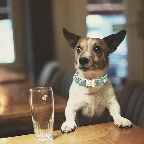 Miniatura 5 de Lionheart glory Collar de perro azul collar de verano para perro, collar de fiesta para perros machos o niñas, collares ajustables suaves y