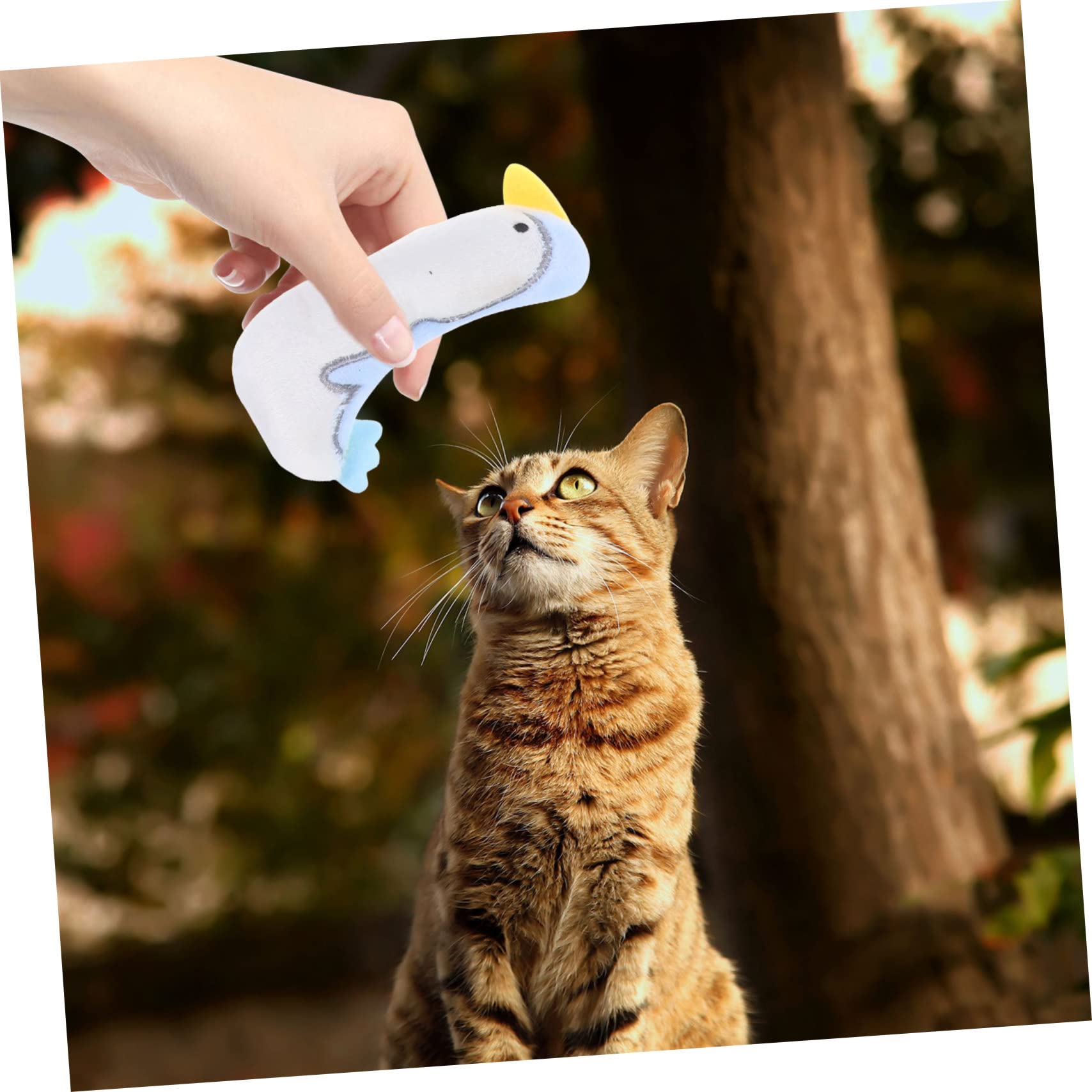 Yardwe 5sets Interaktives Katzenspielzeug Cartoon Tier Katze Plüsch Spielzeug Für Indoor Katzen 5 Stücke * 5