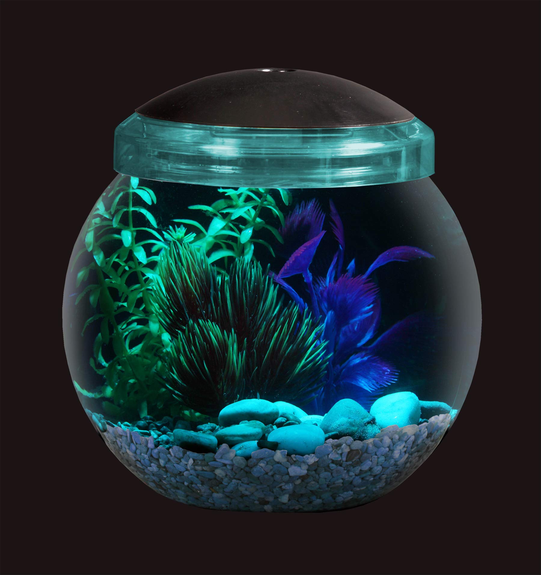 Koller Products 1Gallon Fish Bowl with LED Lighting CrystalClear