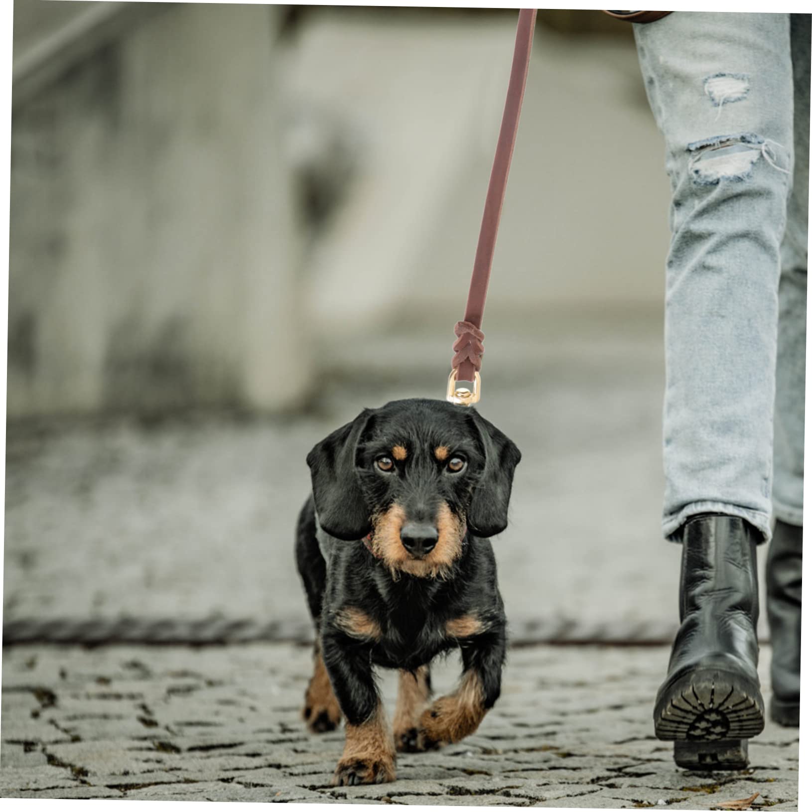 YARNOW 3pièces Laisse Cuir pour Chien Corde De Traction pour De Chien Couleur Marron avec pour De Moyenne à