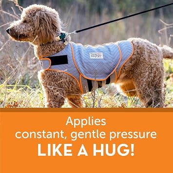 ThunderShirt for Dogs Calming Anxiety Vest, Large, Platinum Sport