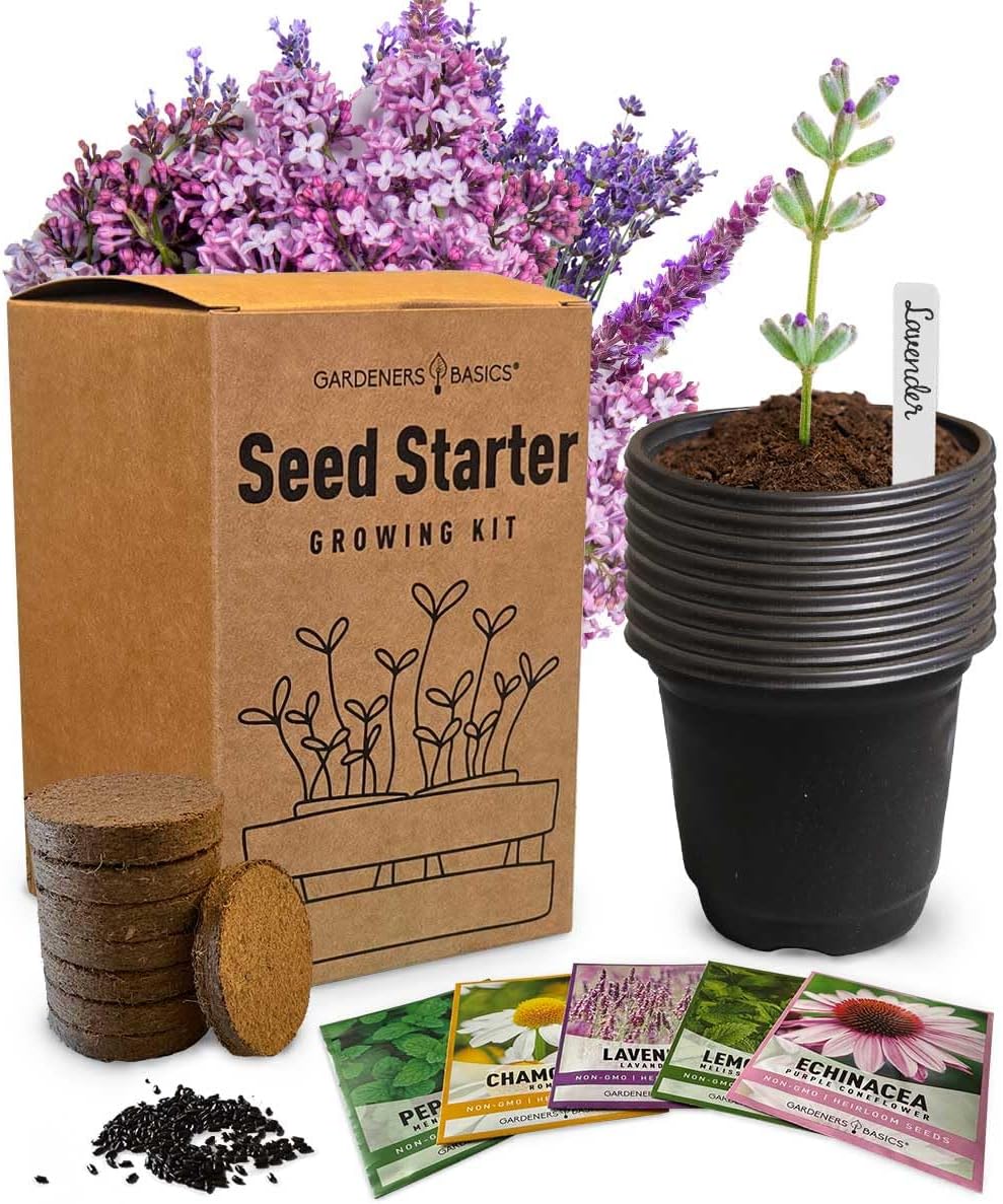Tea Growing Kit - Includes Medicinal Lavender, Chamomile, Lemon Balm, Peppermint and Echinacea Heirloom Garden Seeds, Grow Pots, Soil, Plant Markers, Indoor Herb Kit Outdoor Tea Garden Kit