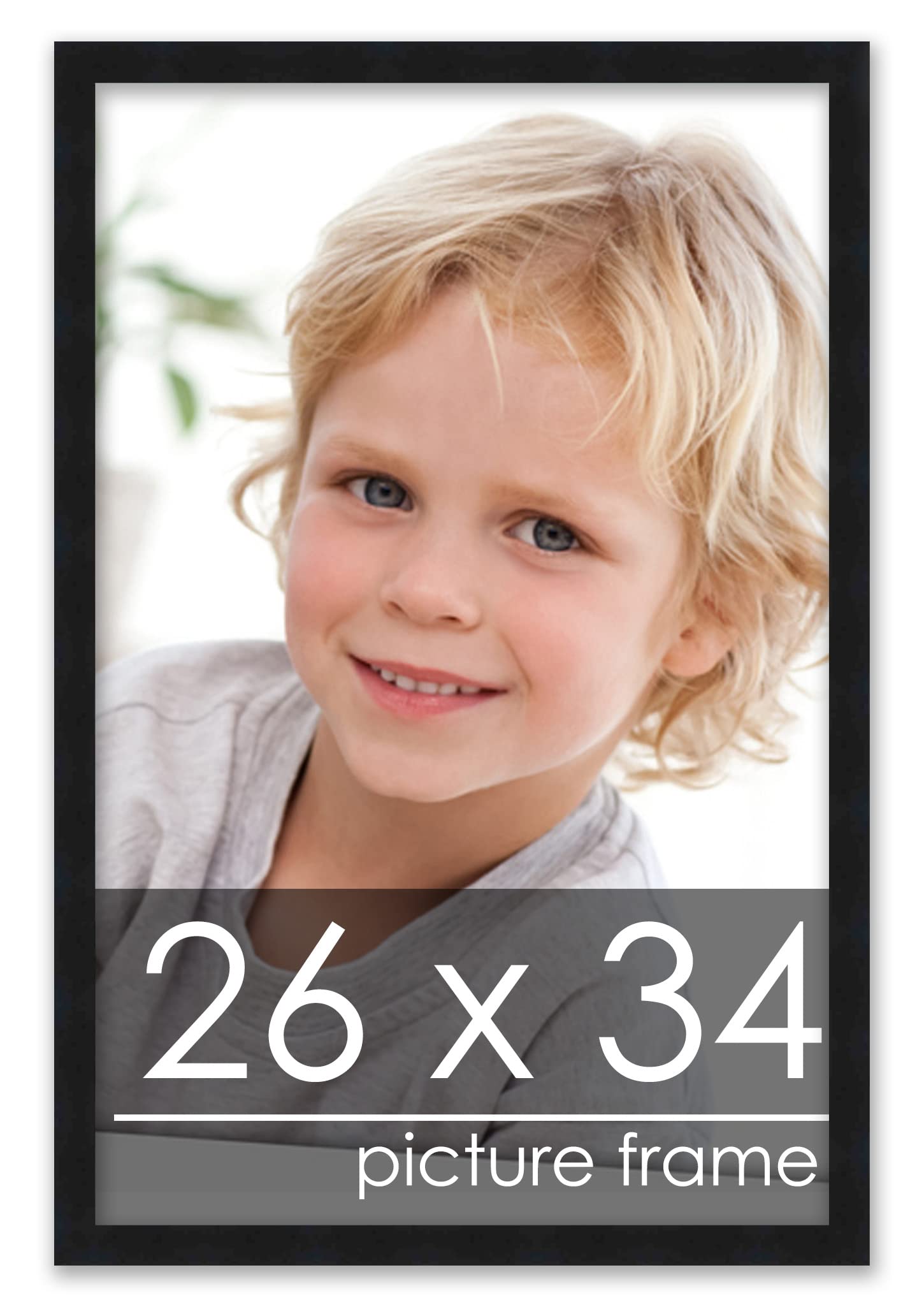 Poster Palooza 26x34 Frame Black Picture Frame