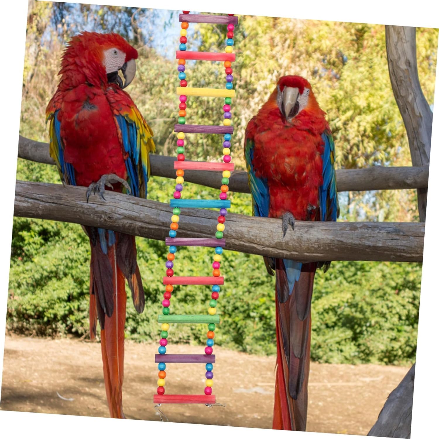 Pou Rope Rope Ladder Bird Parrot Toys, Naturals Rope Colorful Step Ladder Swing ...