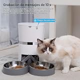 Ver la foto 4