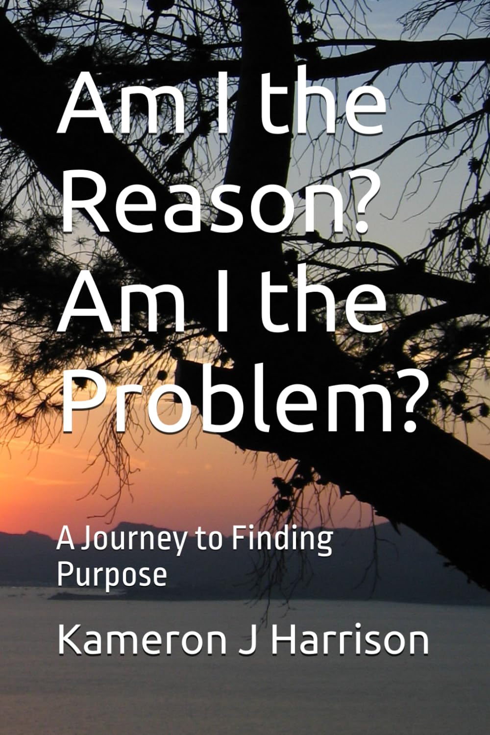 Am I the Reason? Am I the Problem?: A Journey to Finding Purpose