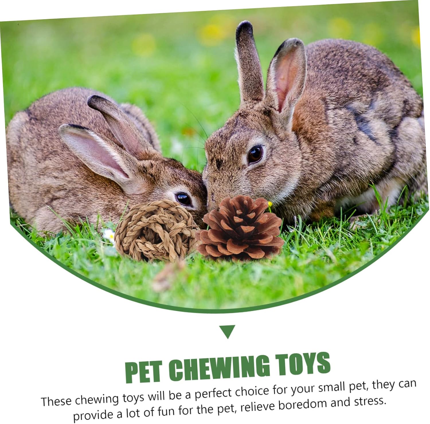 WOONEKY 1set Small Pet Molar Chew Toys Playthings for Hamsters Chinchillas and Small Animals Promotes Healthy Teeth and Fun Playtime