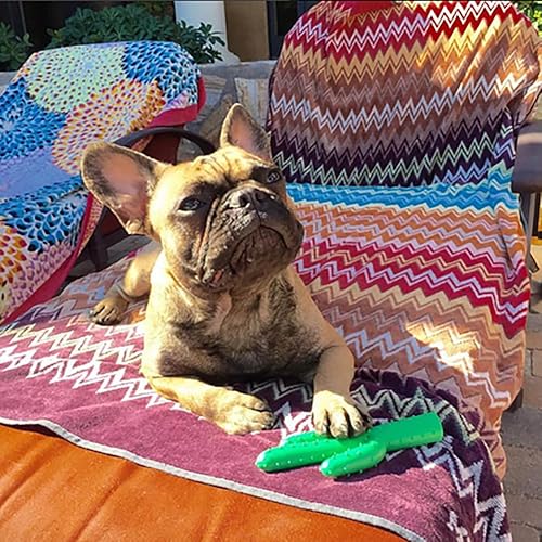 Miniatura 3 de Waggo Silly Succulent - Juguete de cactus verde para perros flotando en el agua y contiene chirriante