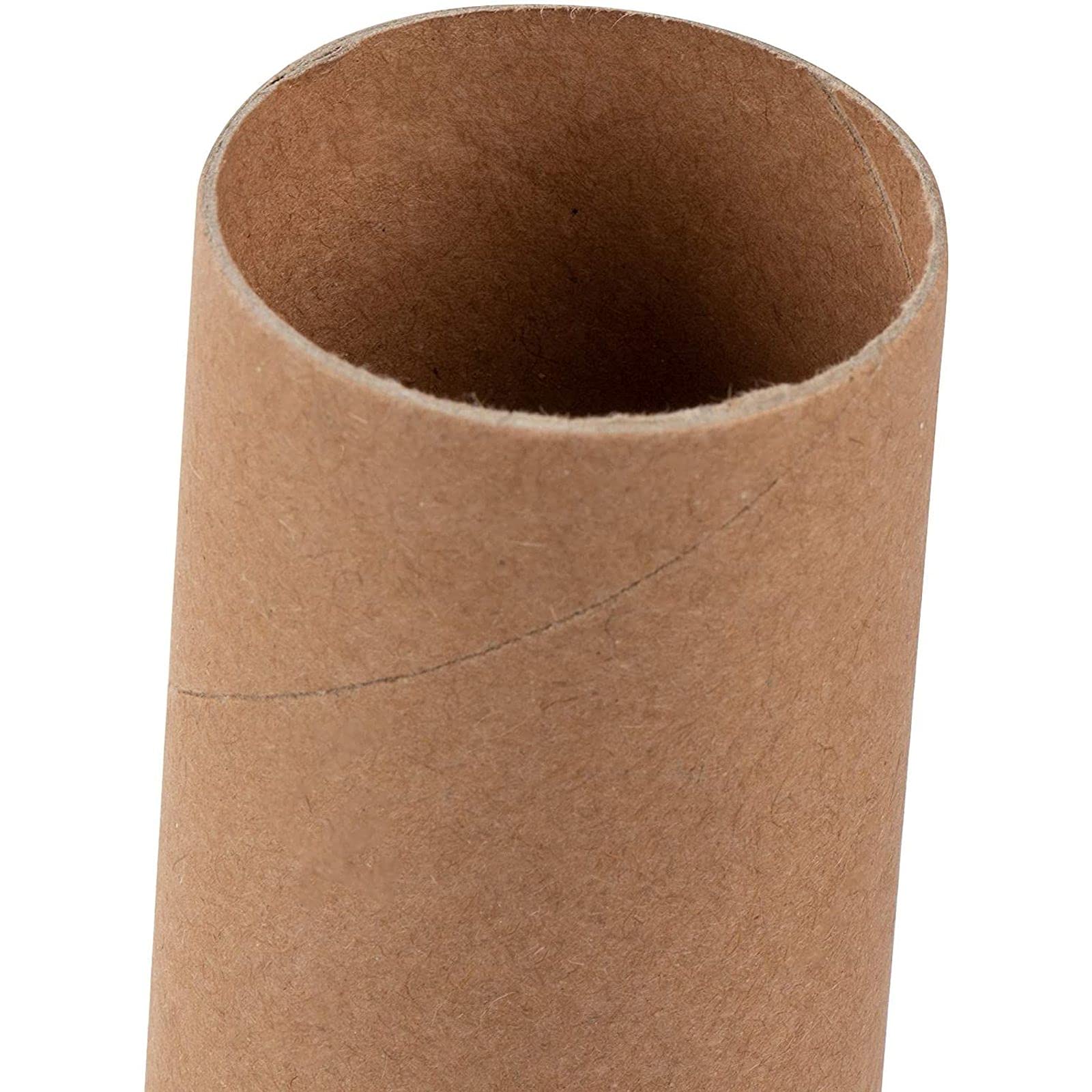 Paper Towels 6 Pack 36 Brown Empty Paper Towel Rolls, Cardboard Tubes For  Crafts, DIY Classroom Projects (1.6 X 5.9 Poster Tube, image size:1600x1600