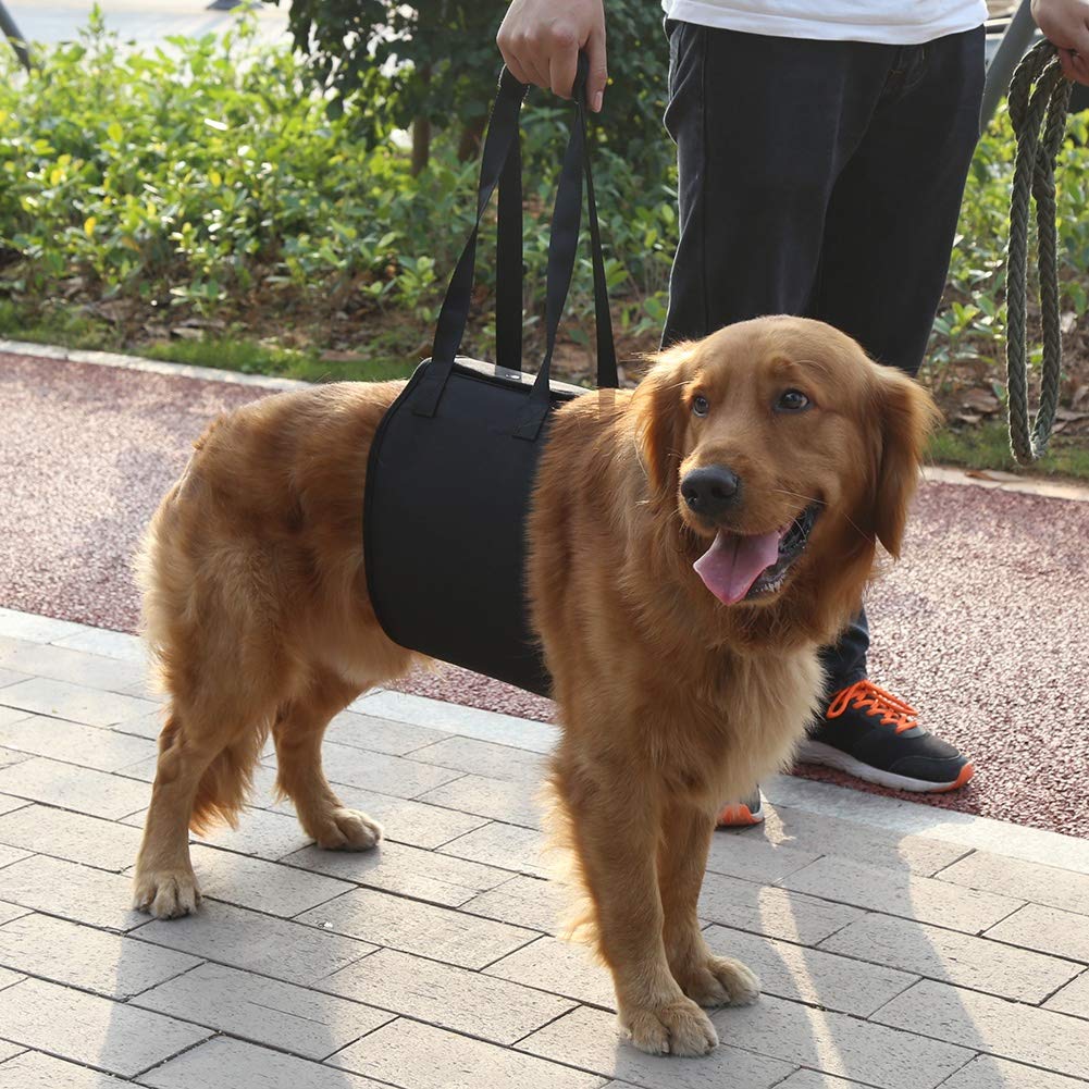 Amazon | Zerodis. 犬用介護ハーネス 歩行補助 足腰の弱くなった老犬に