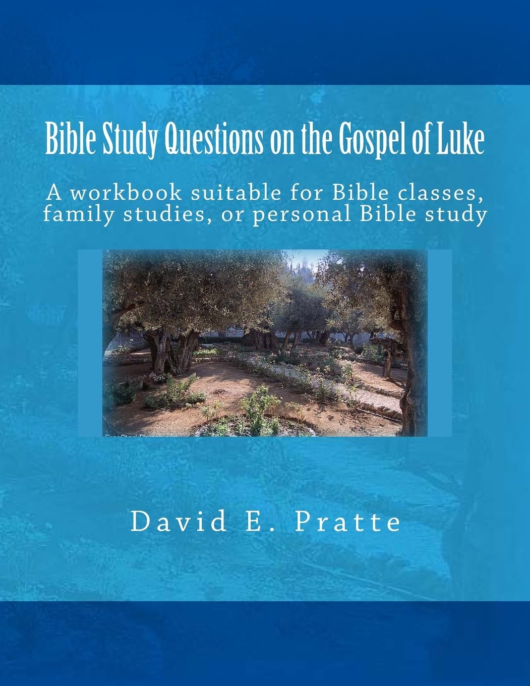 Bible Study Questions on the Gospel of Luke: A workbook suitable for Bible classes, family studies, or personal Bible study