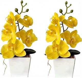 2 Pack Artificial Orchid Flowers with Vase,10" Fake Butterfly Plant,Yellow | Bonsai Silk Flowers with Pot for Wedding Office Home Decor Indoor Centerpieces