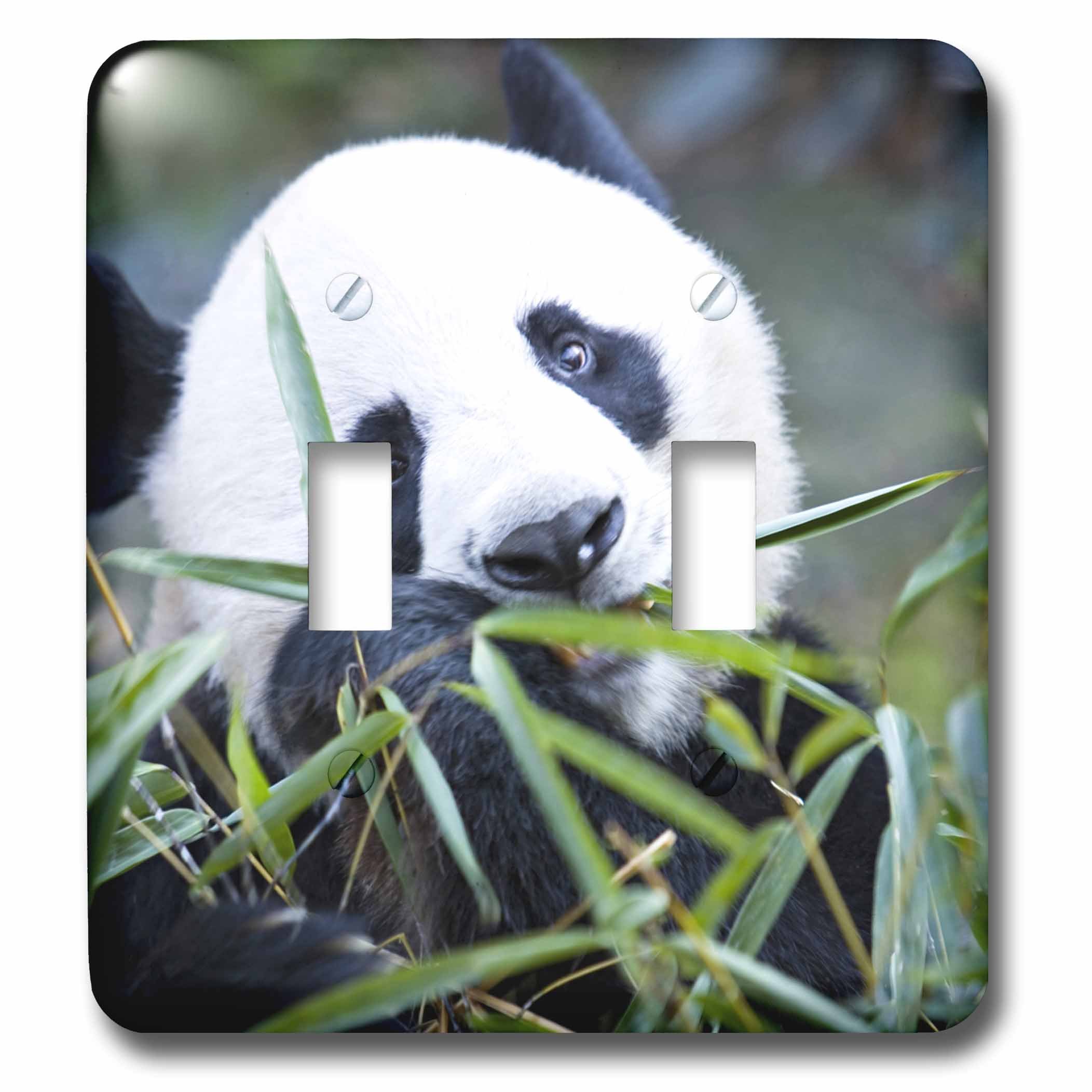 Interrupteur à bascule double panda pour chambre enfant et salon