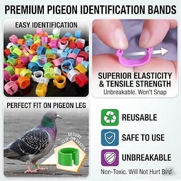 spark future Complete Pigeon Care Starter Kit Accessories Dove Rest Stand Automatic Waterer Feederb Premium Pigeon Perches Leg Bands Artificial Dummy Eggs