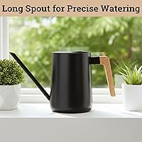 Vista 8 de Regadera pequeña de metal de 35 onzas para interior con boquilla larga y mango de madera real para plantas de casa, suculentas, cactus y plántulas