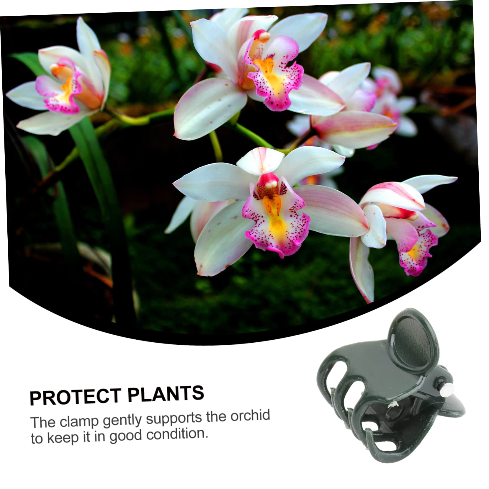 Mipcase Clips de Support pour Orchidées 100 Pièces en Plastique Vert