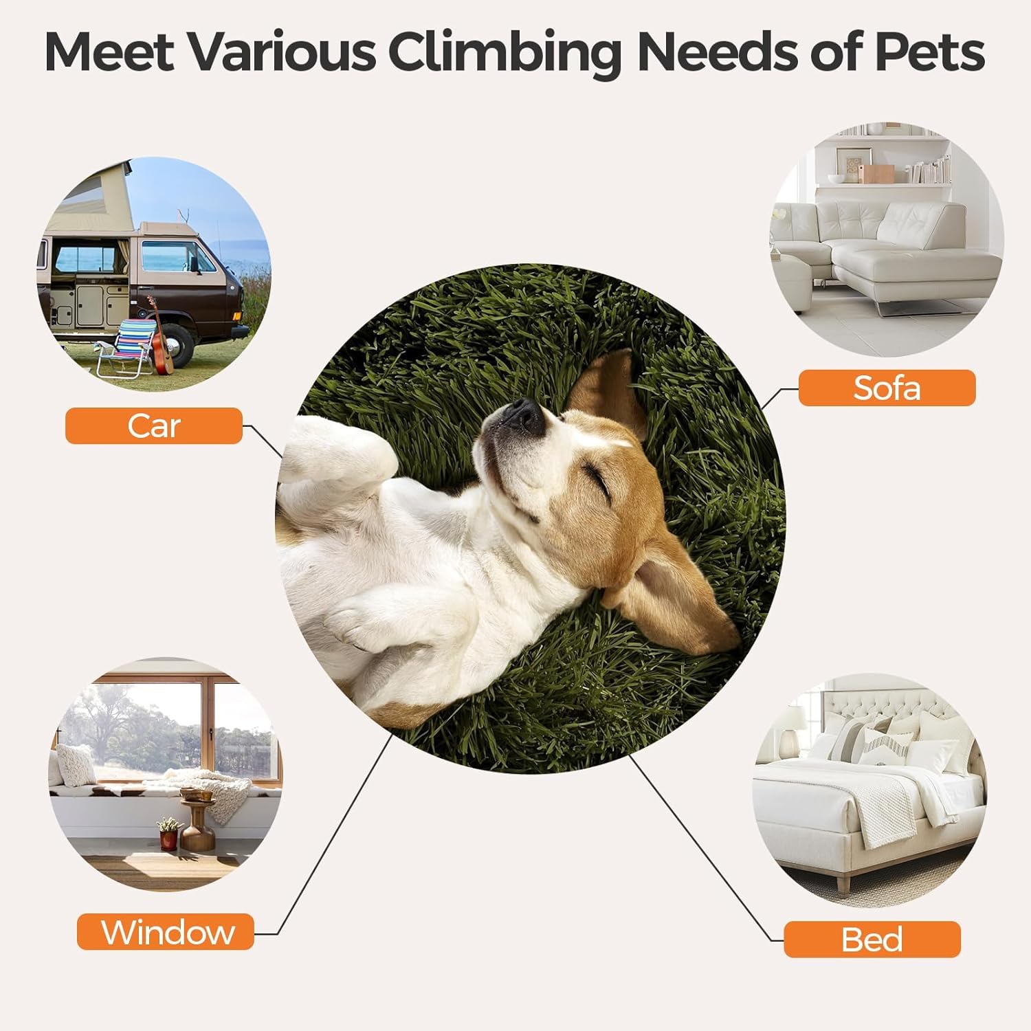 Ciconira Wooden Adjustable Dog Ramp, 39'' Long Portable Pet Stair Ramp with Non-Slip Rug Surface, 5 Adjustable Heights, 16 Extra Wide Folding Dog Car Ramps for SUV, Bed, Couch, Hold up to 165 lbs