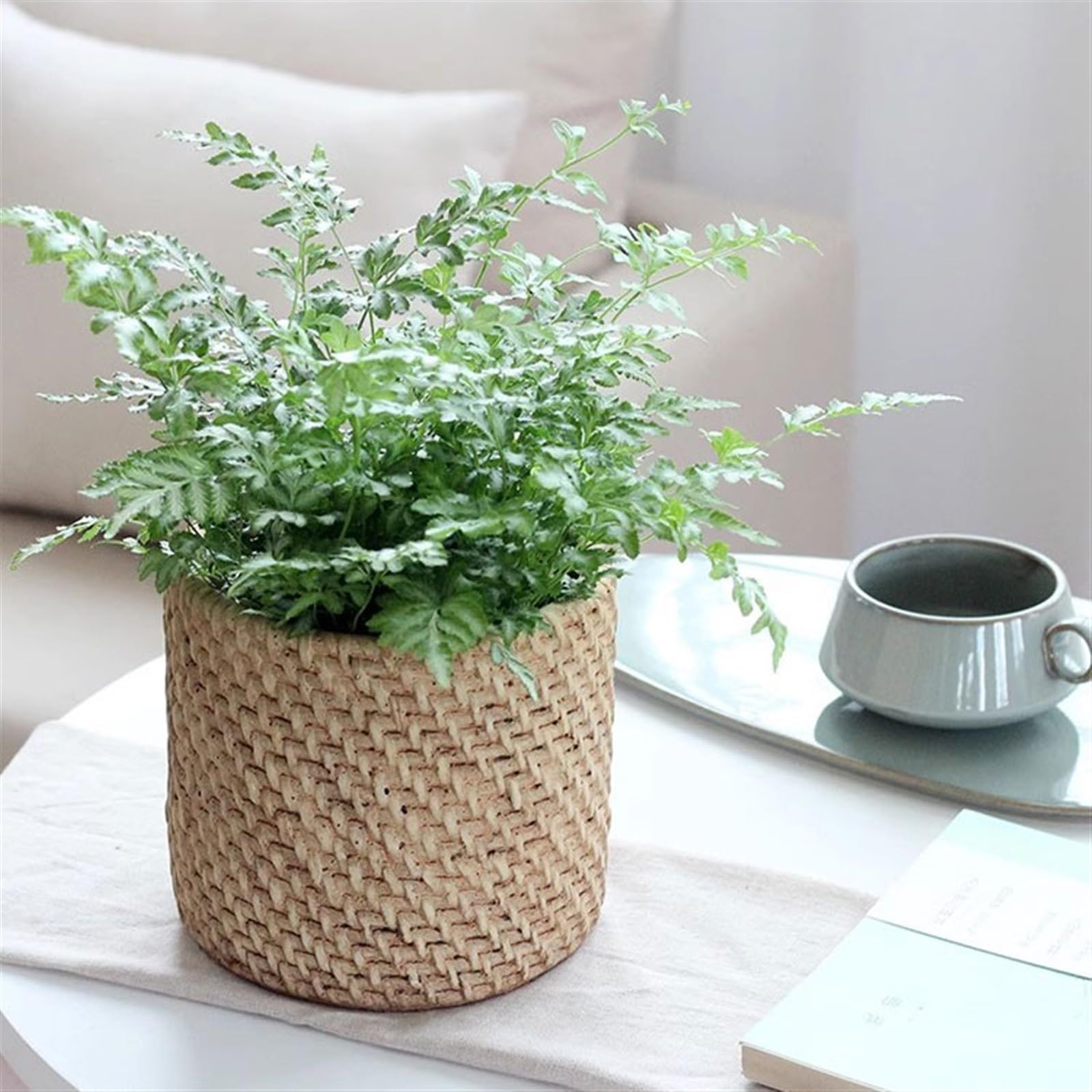 Doniczki do użytku wewnątrz i na cement, mała ceramiczna orchidea, luksusowa, premium, vintage, Phalaenopsis, storczyk, doniczka (mała)