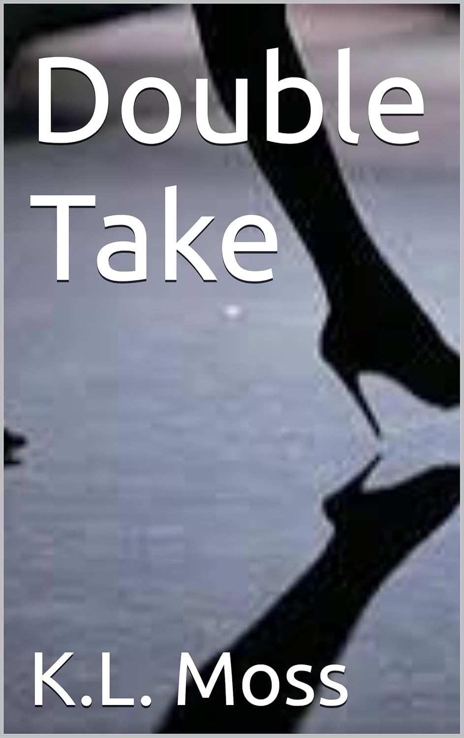 Double Take (The Stolen Ginger Series Book 2)      Kindle Edition