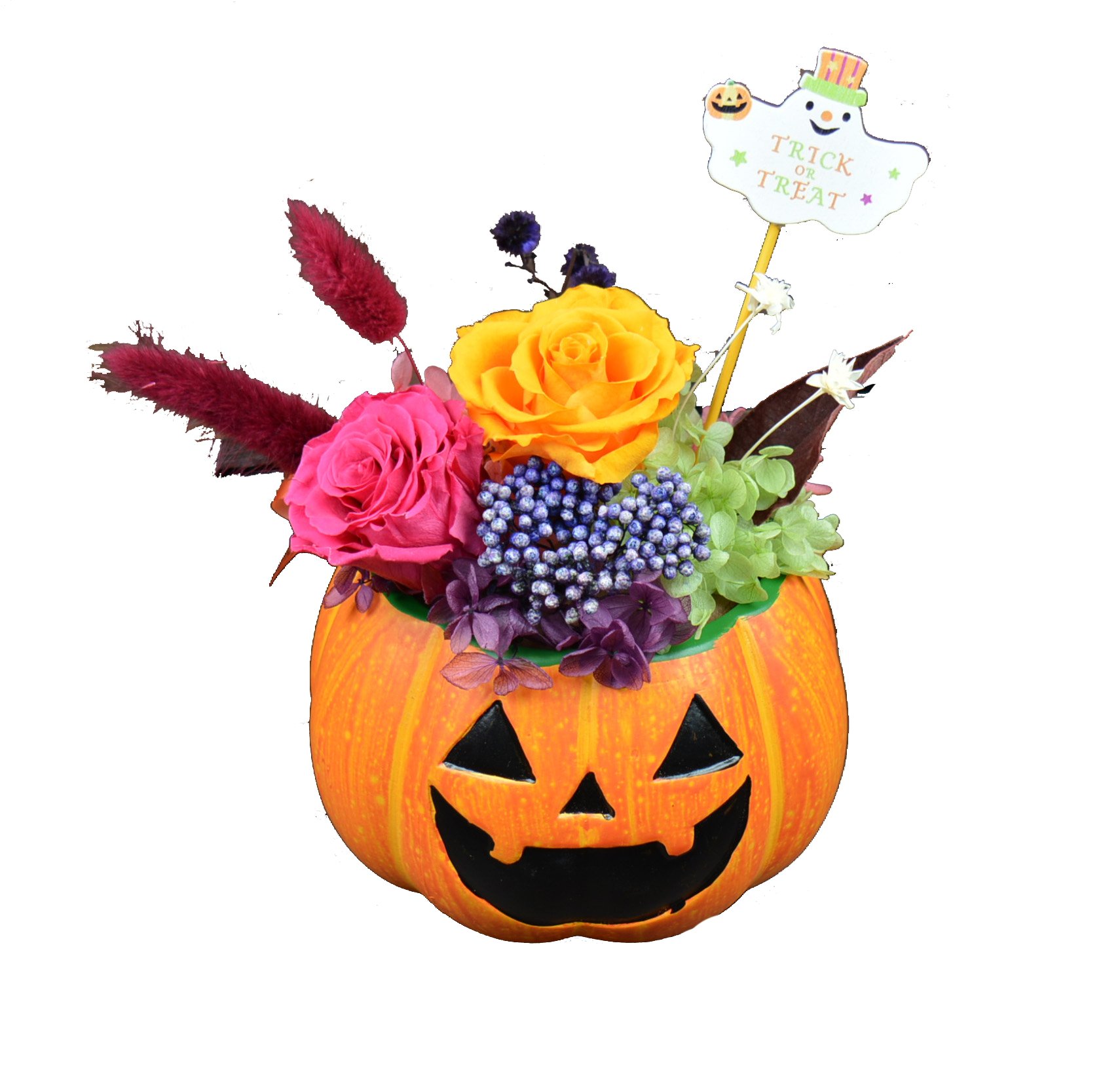 Amazon｜Lulu's プリザーブドフラワー ハロウィン かぼちゃ パンプキン