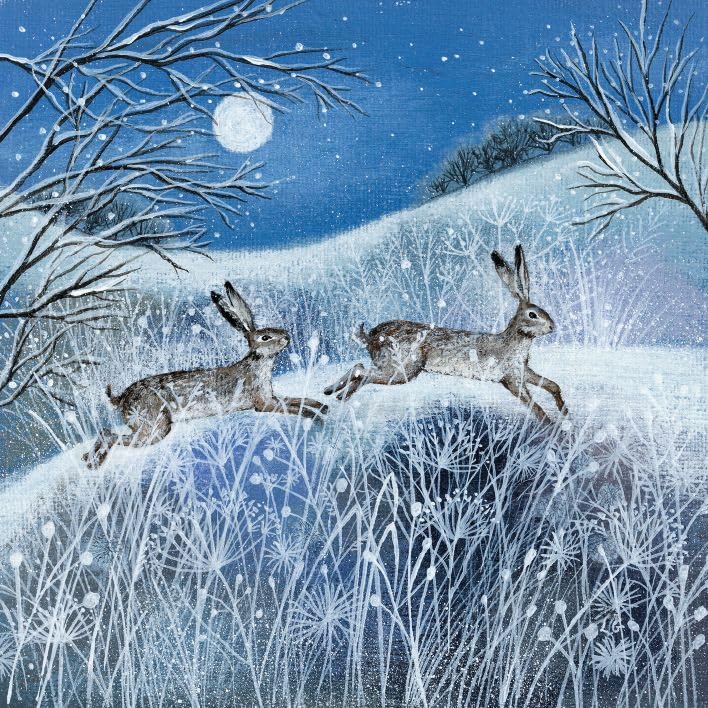 Museums & Galleries Charity Christmas Cards Pack of 20, Festive Wildlife in the Snow