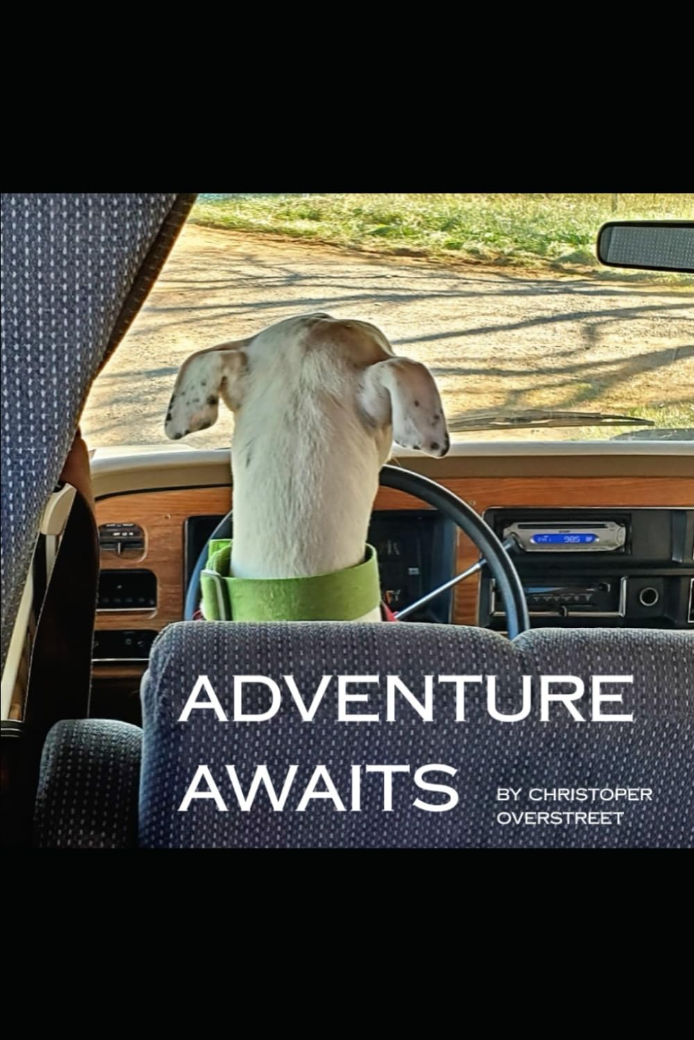 Adventure Awaits