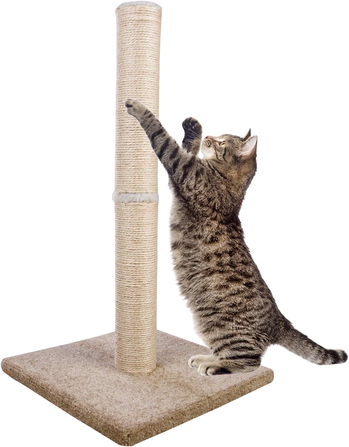 Cat Craft Bobcat Cat Scratching Post for Indoor Cats, Tall
