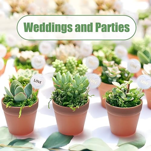 Miniatura 7 de FAMILY 20 macetas pequeñas de resina de 3 pulgadas, macetas de vivero para suculentas con agujeros de drenaje, 20 macetas de resina para plantas de