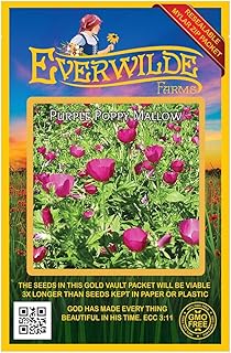Everwilde Farms - 15 Purple Poppy Mallow Native Wildflower Seeds - Gold Vault Seed Packet