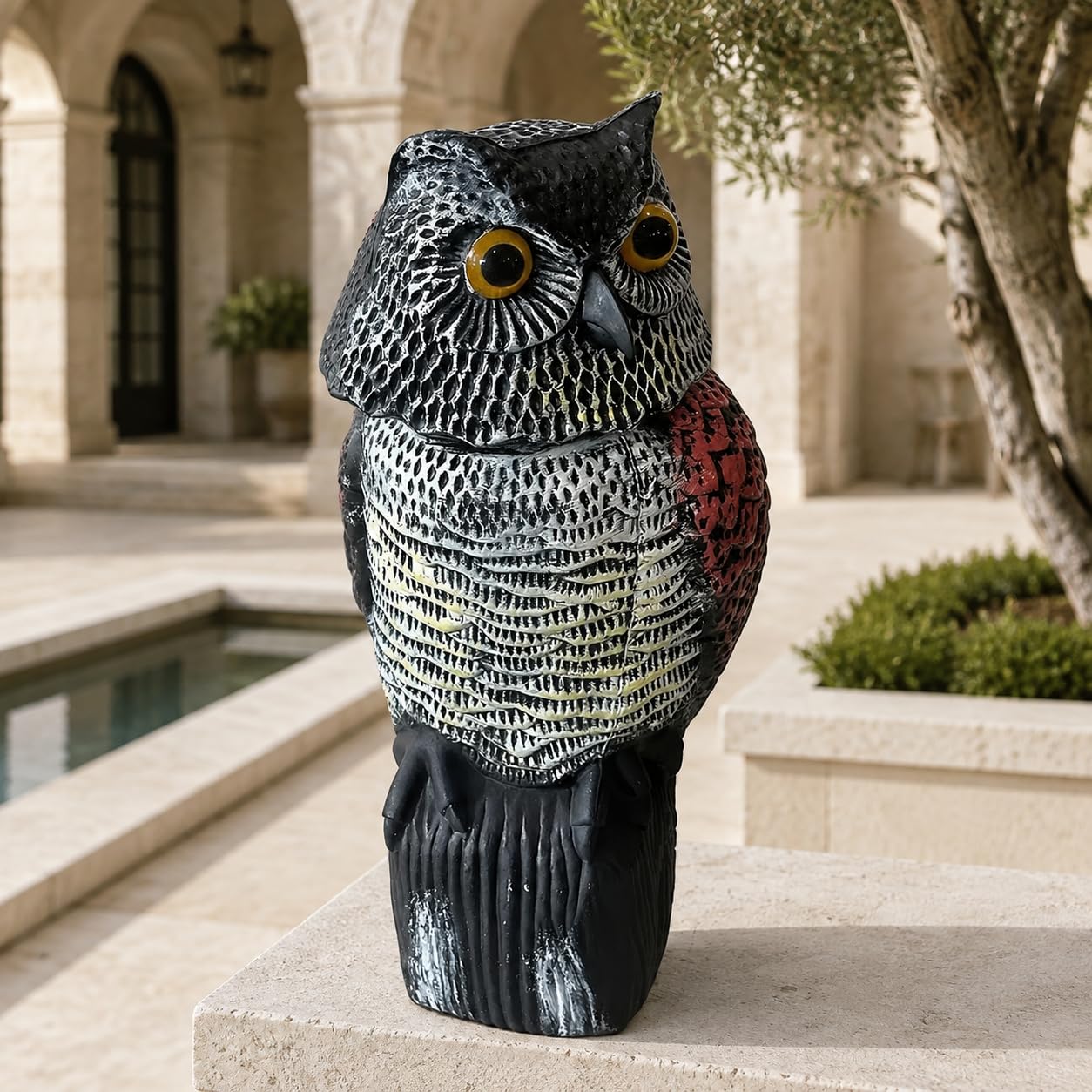 View 8