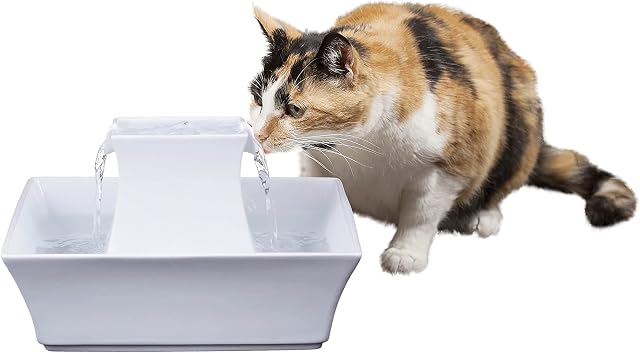 PetSafe Drinkwell Pagoda Ceramic Fountain