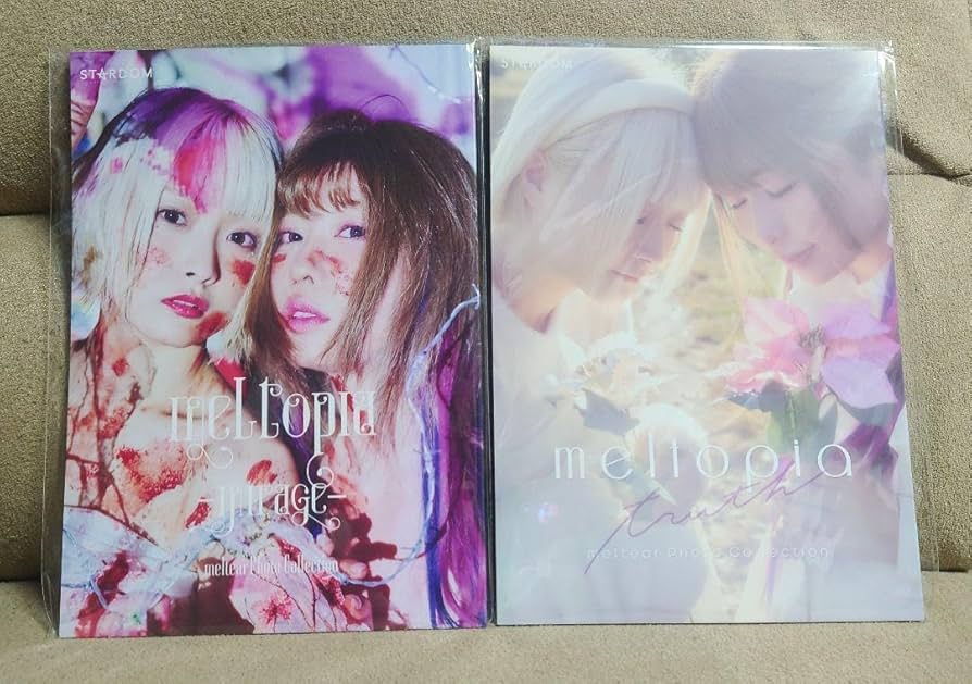 新品】STARDOM中野たむ＆なつぽい写真集(メルティア)スターダム女子