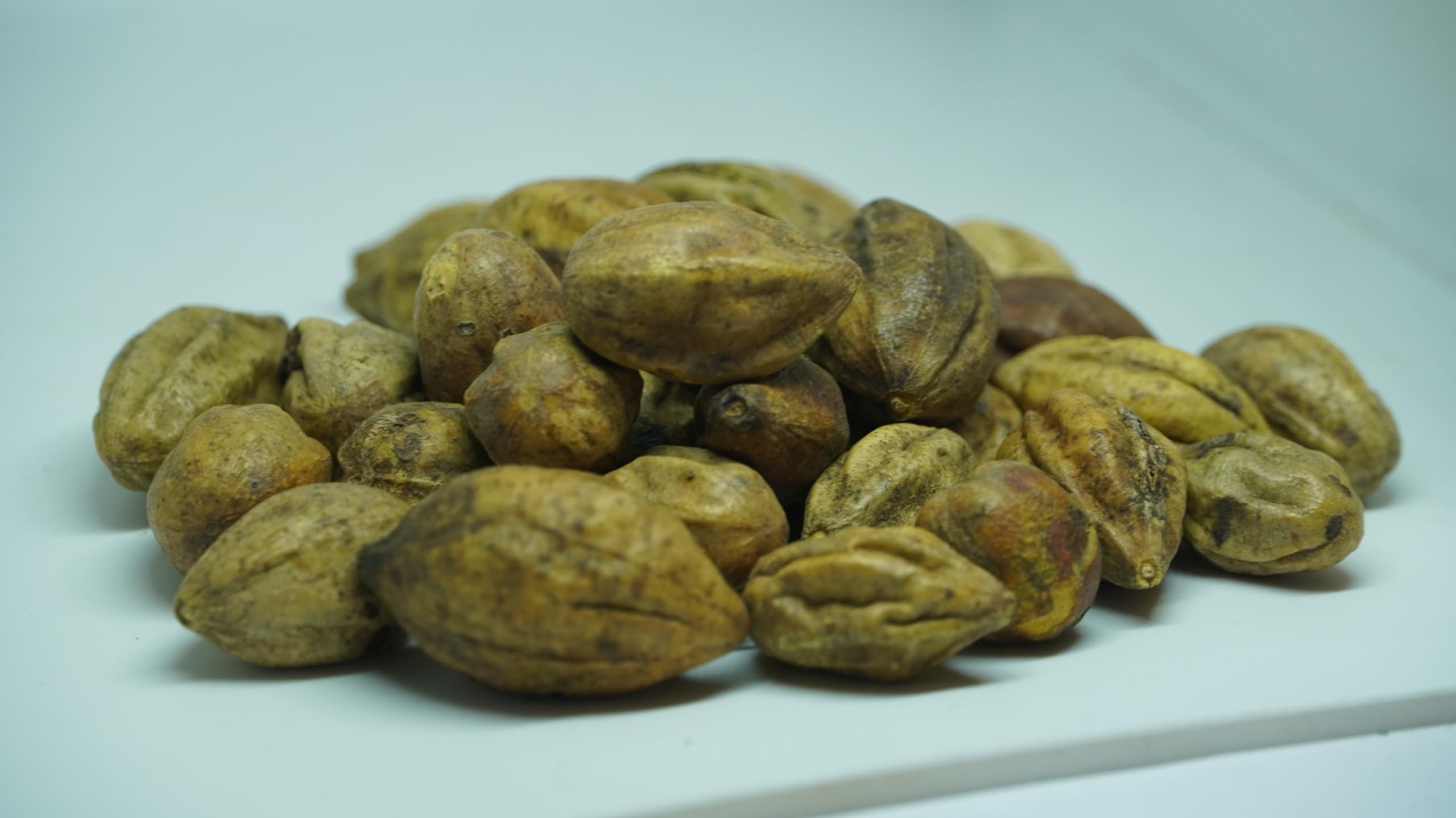 THOGAI’S -”KADUKAI”- கடுக்காய் / YELLOW MYROBALAN/Terminalia chebula/Haritaki/Harad/Karakkaya/Indian hog plum (1000 GRAMS (PACK OF 1)) (B0D31WJ2D5) Amazon Price History, Amazon Price Tracker