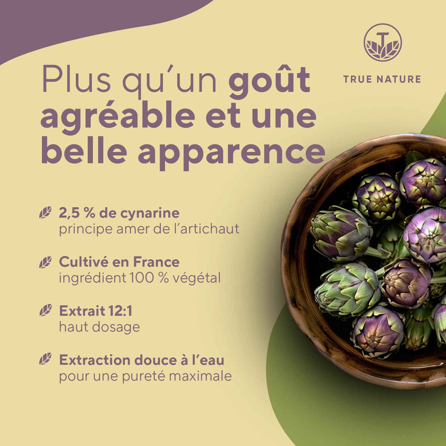 Extrait d'Artichaut Français - 2.400mg avec 2,5% Cynarine - 300 Gélules (2,5 mois) - Confort Digestif, Foie & Détox - Vegan - Sans: Additifs, Lactose & Gluten - TRUE NATURE
