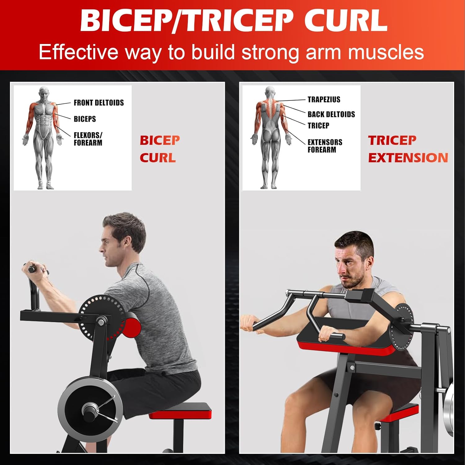 2-in-1 Upgrade Bicep Tricep Curl Machine with Foot Pedal and Adjustable Seat, Plate Loaded Preacher Curl Bench Seated Arm Isolated, Bicep Curl and Triceps Extension Machine for Home Gym Workout