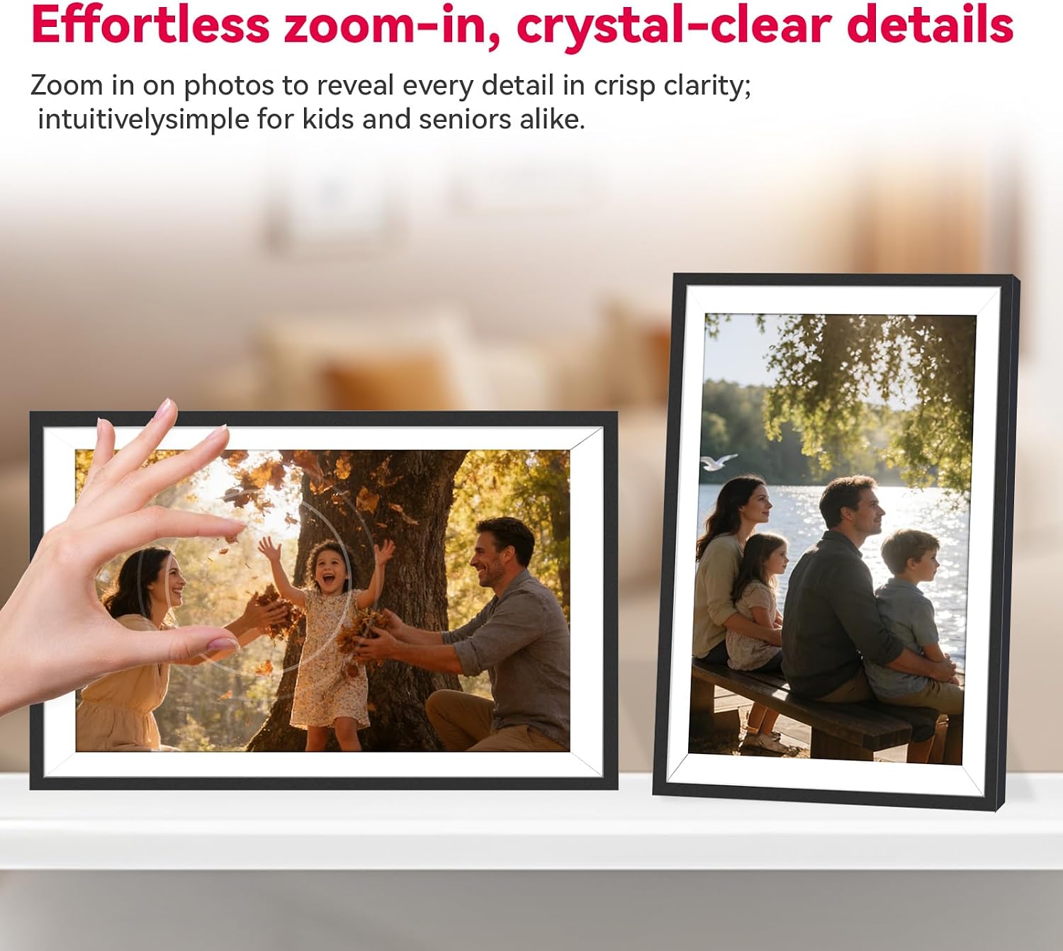 10.1 Inch IPS Digital Photo Frame
