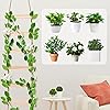 Product Photo 7