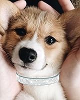 Vista 2 de Petank Collar de Perro para Perros Pequeños, Medianos y Grandes, Collar de Perro Pequeño para Perras, Collares de Perro Brillantes para Niñas