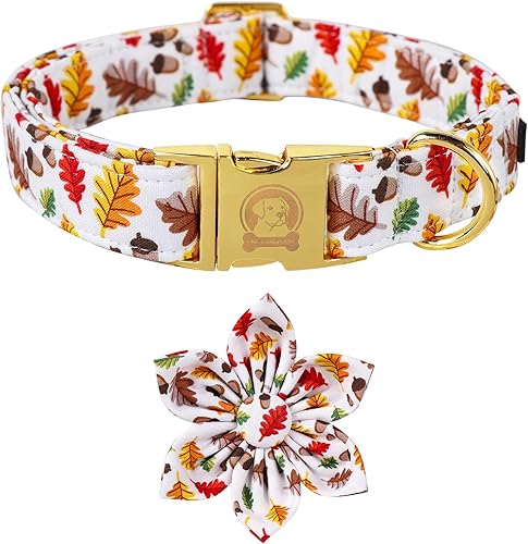 Miniatura 5 de Collar de perro de Halloween con lazo MR. CHUBBYFACE - Collar con diseño de calabaza y fantasma con corbatín para cachorros, perros pequeños,