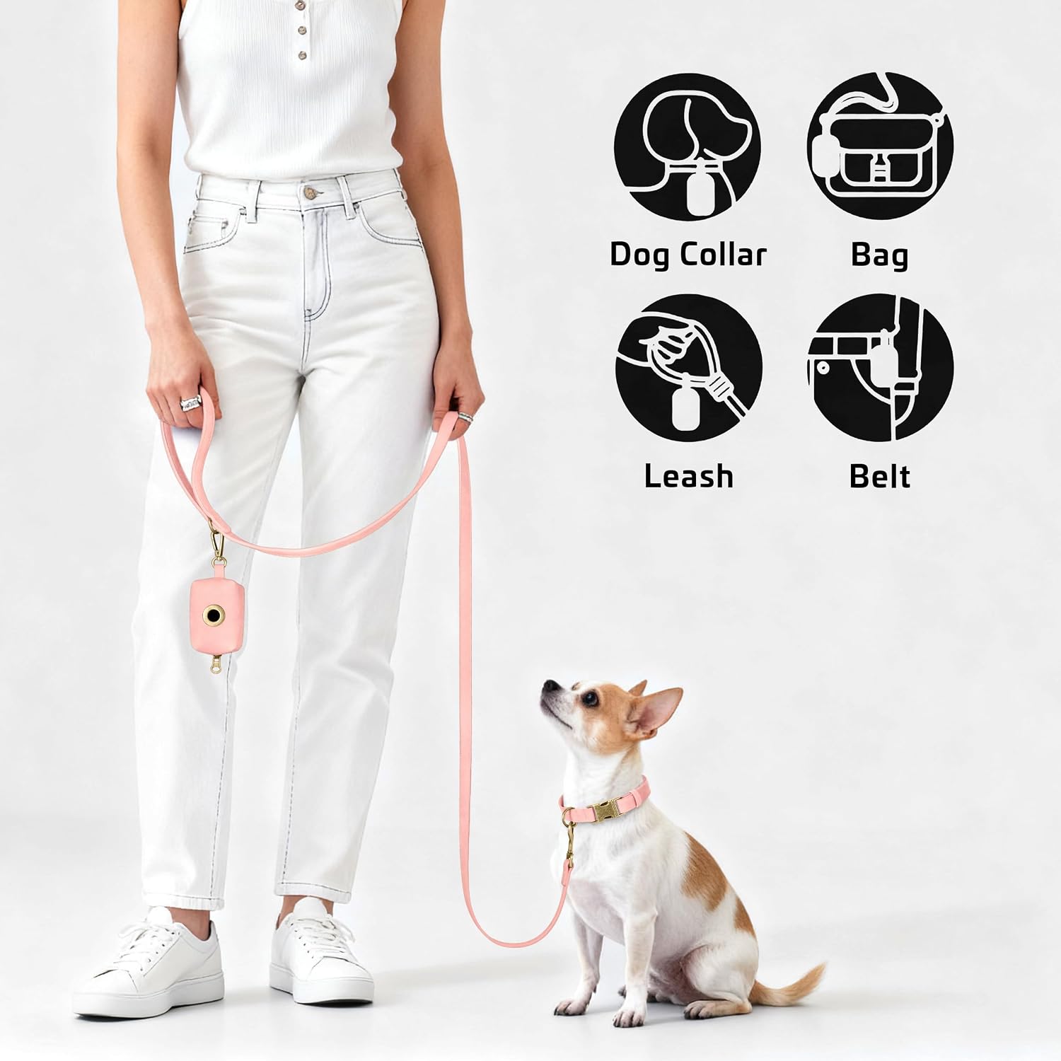 Didog Colorful 5FT PU Leather Dog Leash with Dog Poop Bag Holder for Small Dogs image 5