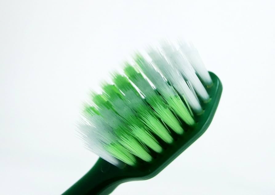 Amazon | 生葉(しょうよう) 極幅ブラシ 歯ブラシ レギュラー