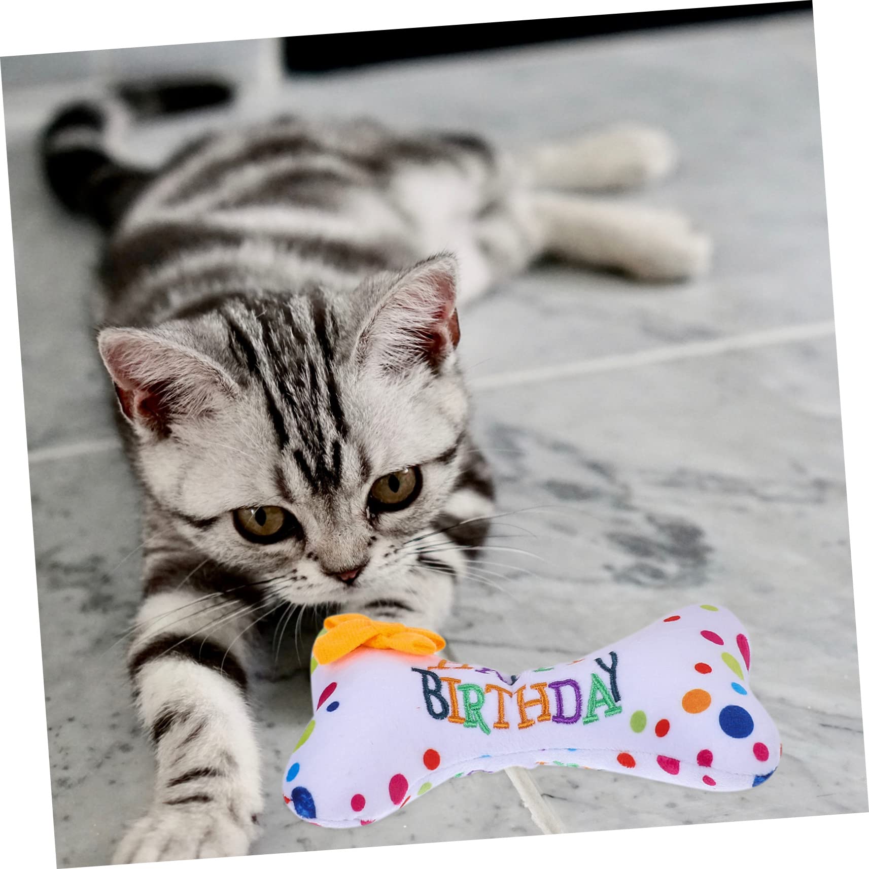 VANZACK 6stücke Teiliges Katzenspielzeug Kuchen Und Squeaky- Lustige Geburtstagsgeschenke Für Katzen Spielzeug Beschäftigung Und Zahnpflege Für Kätzchen