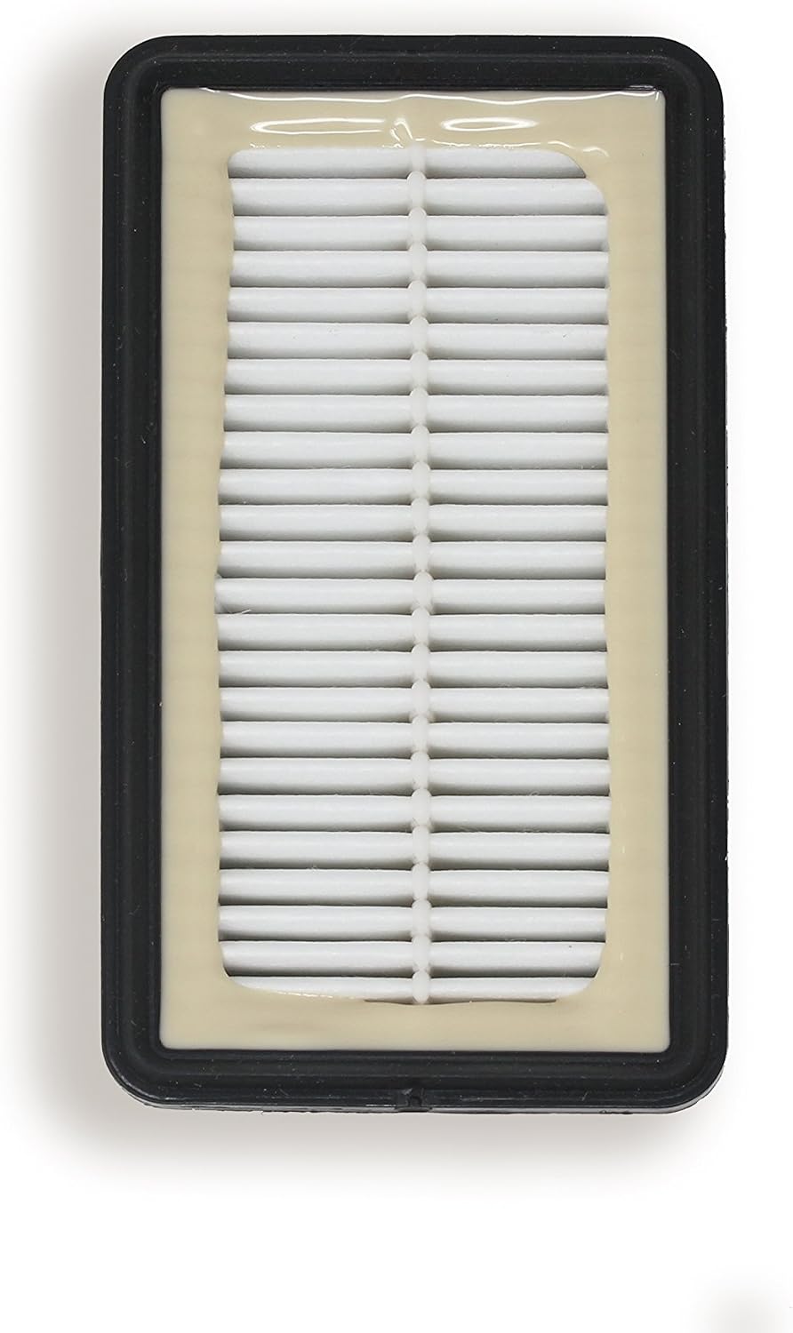 Fette Filter - Pre-Motor Foam and Post-Motor Filter Compatible with Bissell 1008 CleanView Vacuums. Compare to Part # 2032663 & 1601502, 203-2663 & 160-1502