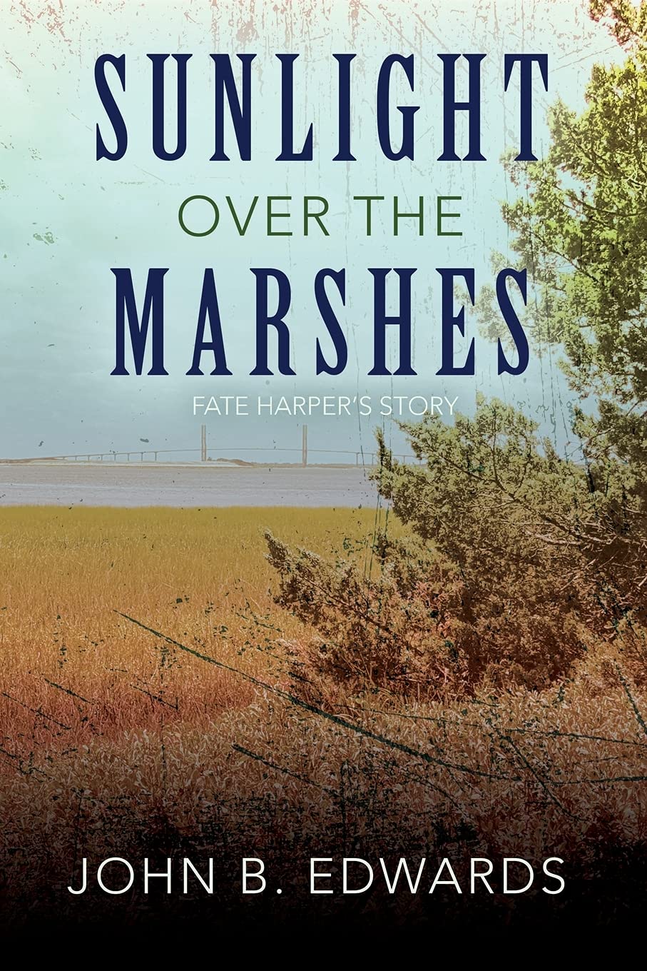 Sunlight Over the Marshes