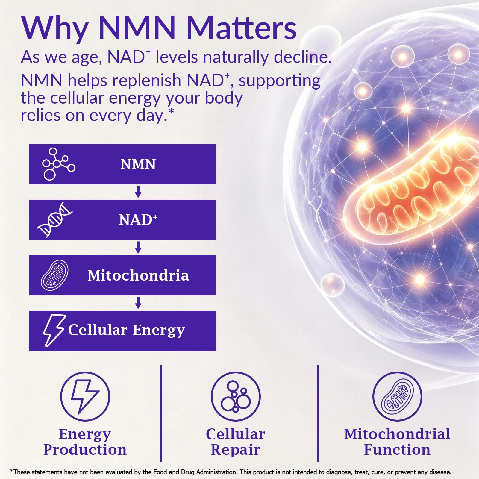 NMN Supplement Softgels, 4-in-1 NMN Beta 1000mg w. Quercetin TMG Resveratrol Astaxanthin for Anti Aging Energy & Immune Support, NMNH Alternative Liposomal High Absorption — Amazon image 3